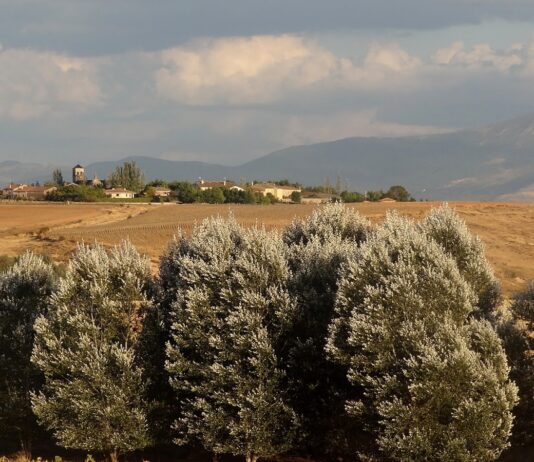 pueblo de Segovia con cuatro habitantes
