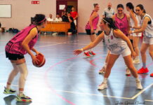 Exhibición baloncesto