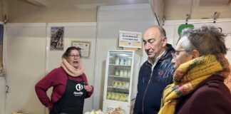 35 ayuntamientos de Segovia