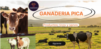 Alumnos de un pueblo de Segovia