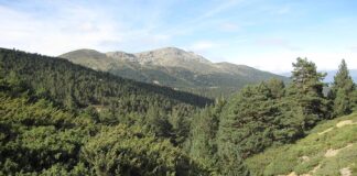 un niño de tres años en Segovia