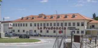 Ayudas empresas en espacios rurales