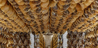Mejor Jamón de España
