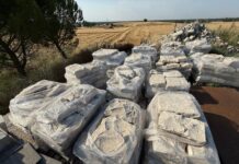 Recuperado el enlosado robado de un convento