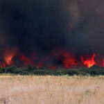 Alerta riesgo incendios