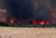 Alerta riesgo incendios