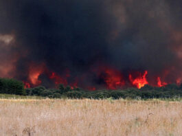 Alerta riesgo incendios