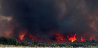 Alerta riesgo incendios