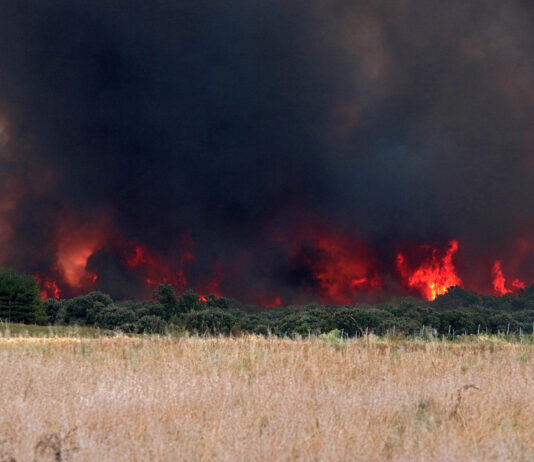 Alerta riesgo incendios