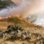 Prevención incendios