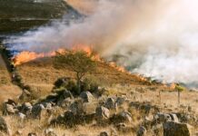 Prevención incendios
