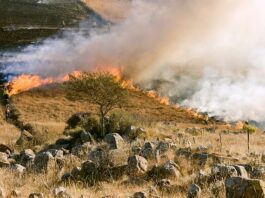 Prevención incendios