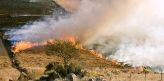 Prevención incendios