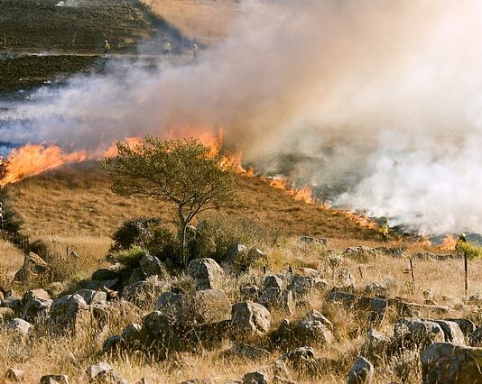 Prevención incendios