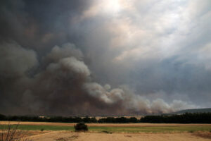 Medidas de precaución ante la llegada de humo de los incendios forestales