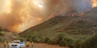 Incendios Castilla y León