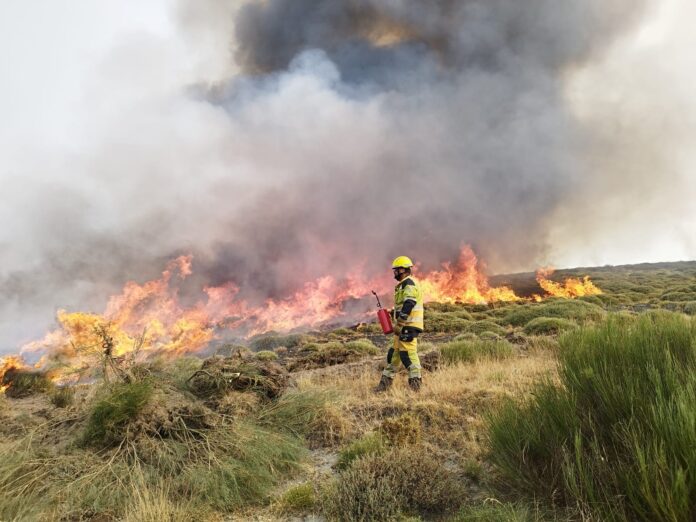 Miembros de diferentes operativos de otras comunidades autónomas colaboran en la extinción de los incendios de Castilla y León