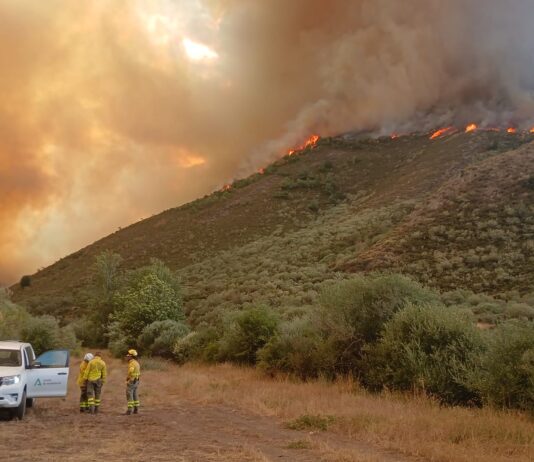 Incendios Castilla y León