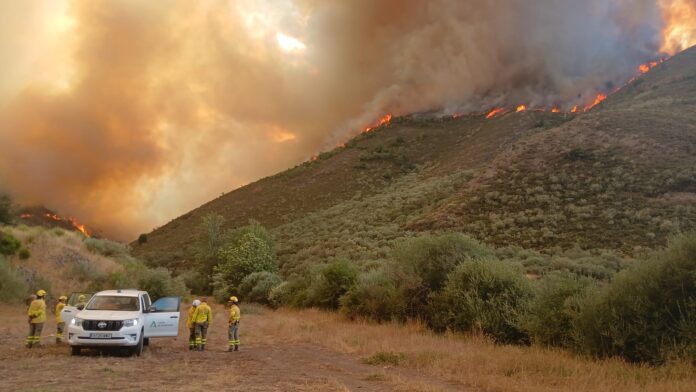 Miembros de diferentes operativos de otras comunidades autónomas colaboran en la extinción de los incendios de Castilla y León Incendios Castilla y León