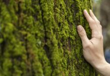 Premios a la Conservación de la Naturaleza