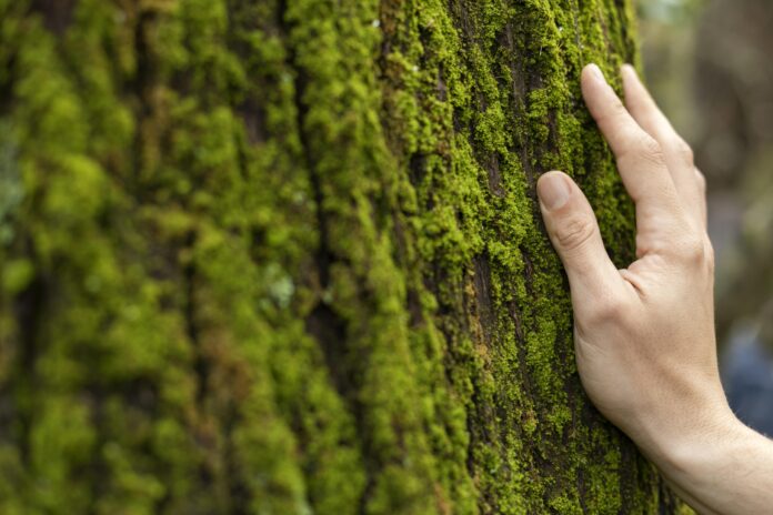 Premios a la Conservación de la Naturaleza