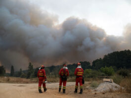 Incendios Castilla y León