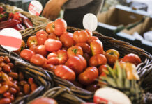 Feria del Tomate