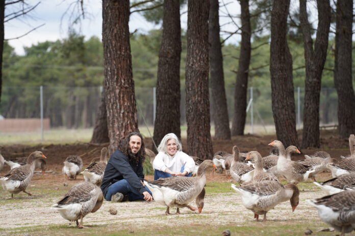 Zulema y Álvaro de Pinaroca Img María Cco