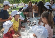 Cocina niños diputacion