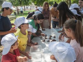 Cocina niños diputacion