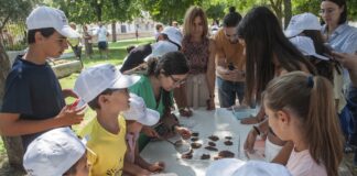 Cocina niños diputacion