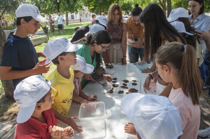 Cocina niños diputacion