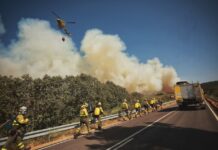 Incendios Castilla y León