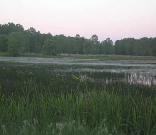 La localidad segoviana que marca la temperatura más baja del país