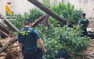 Un investigado por cultivo de drogas en un pueblo de Segovia