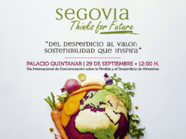 Segovia Thinks for Future