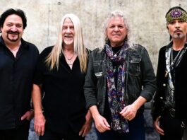 Y&T
