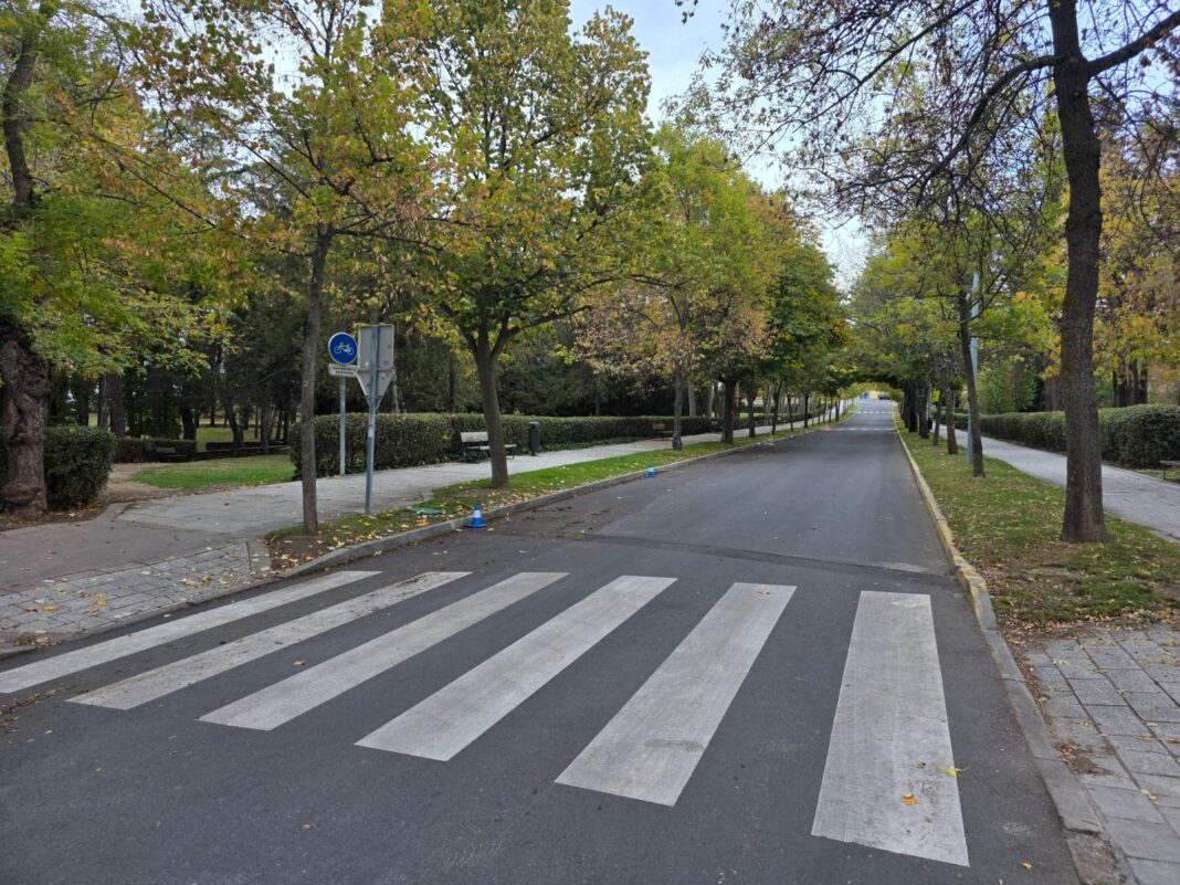 Calle de acceso cementerio Calle de acceso cementerio