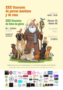 Cartel concurso ADAS