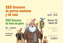 Cartel concurso ADAS