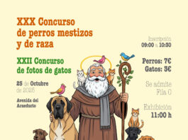 Cartel concurso ADAS