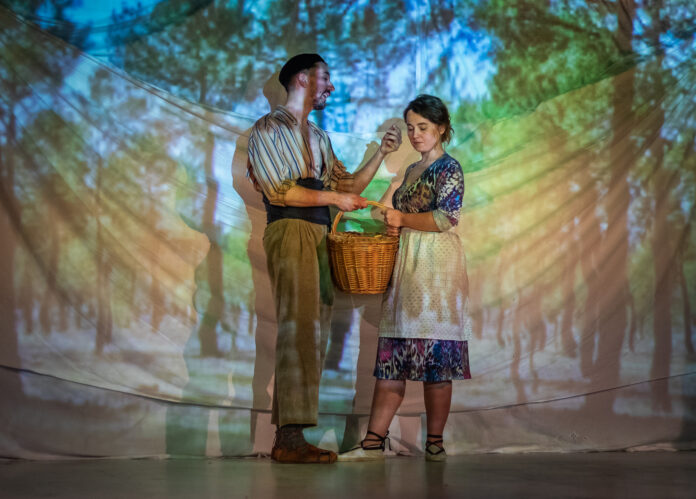 FESTEAMUS La cierva acosadaEM_NP Diputación de Segovia