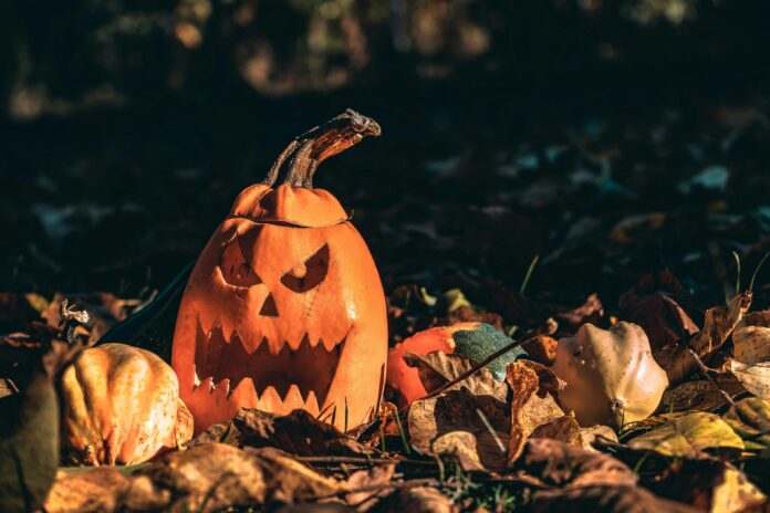 Hallowen Img Pexels