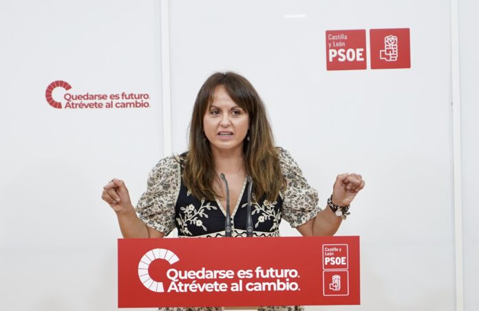 El PSOE analiza diversos asuntos de actualidad de Castilla y León