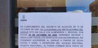 Segoiaudaz