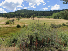 200.000 euros y dos meses de plazo para transformar el entorno de ‘Cañada de Gudillos’