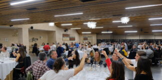 Territorio, raíces y vanguardia en el último fin de semana del Otoño Enológico