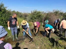 La provincia de Segovia ofrece múltiples propuestas para el fin de semana
