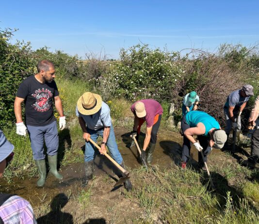 La provincia de Segovia ofrece múltiples propuestas para el fin de semana