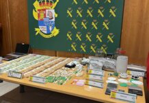 Organización criminal droga